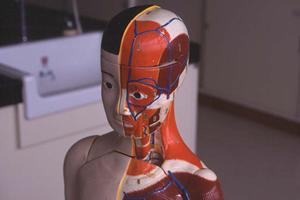 磯子区周辺で大腸検査を受けるなら