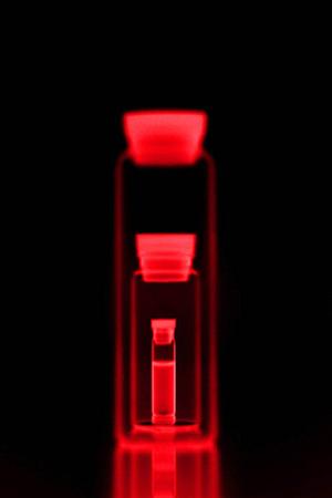 世田谷区で選ぶ！信頼できる産婦人科と不妊治療の最新情報ガイド