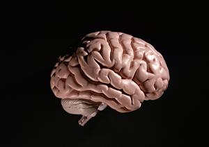 「たちなみ歯科口腔外科クリニック」とは