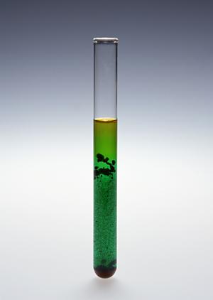 上石神井で矯正歯科にかかるならどこ？