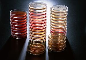 銀座精神科医院選びの気を付ける点