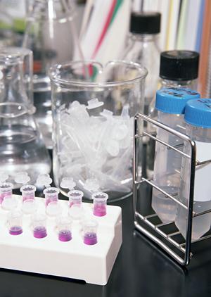 西新宿で信頼できる呼吸器内科を見つけるための完全ガイド【症状別おすすめクリニック】