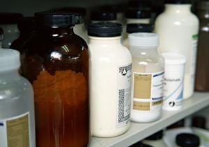 亀戸で評判の内視鏡検査｜安心・痛み少なく土日も対応のクリニックガイド